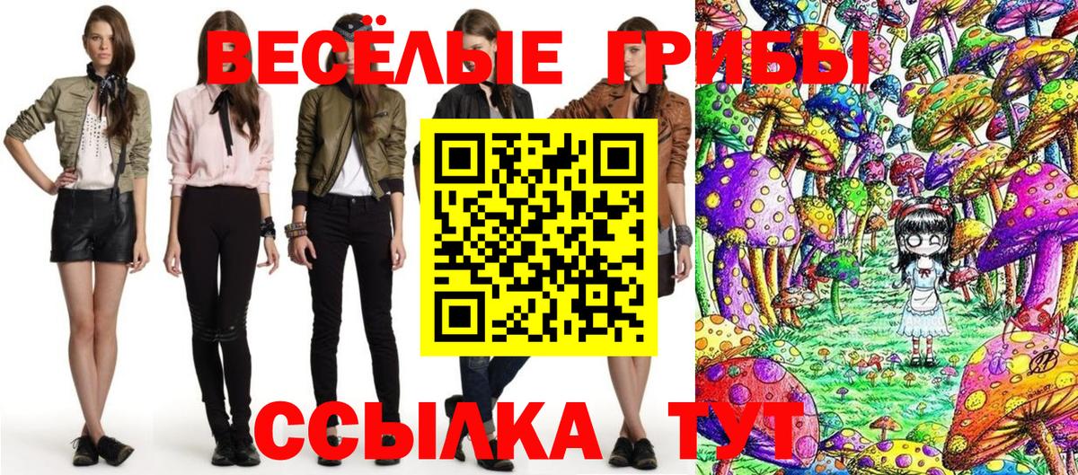 Псилоцибиновые грибы GOLDEN TEACHER Великий Устюг