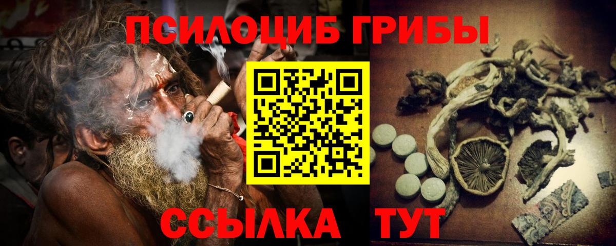Великий Устюг  Галлюциногенные грибы MAGIC MUSHROOMS  Вход с VPN 