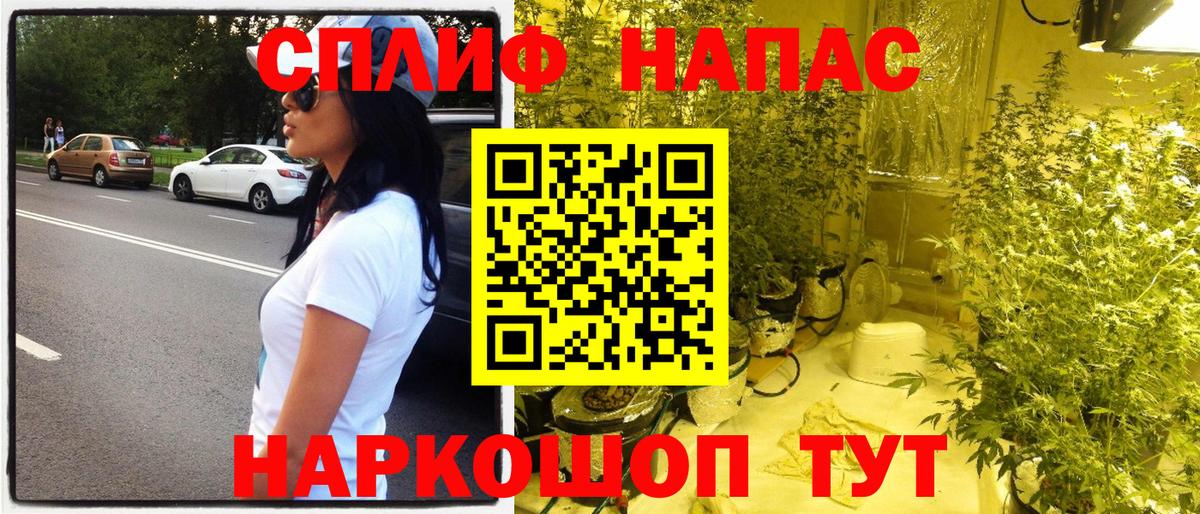 Конопля гибрид Великий Устюг